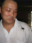 Zhou Defei