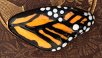 CiM Monarch