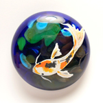 Blue Arrow Frog, Aloha, & Elf