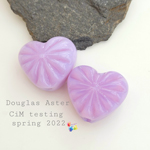 CiM Douglas Aster